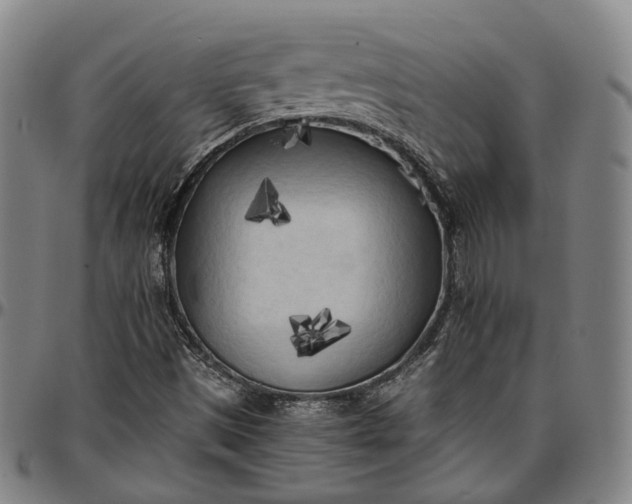 X0000096671497200802191318
