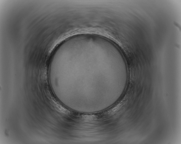 X0000096671498200802191318