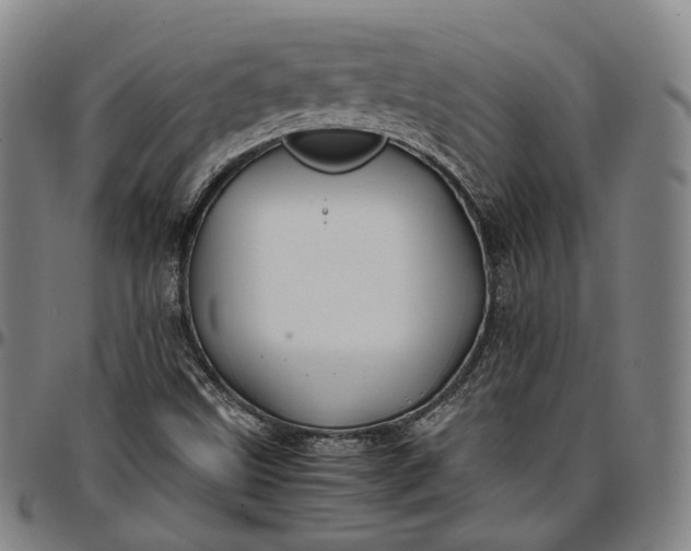 X0000096671499200802191318