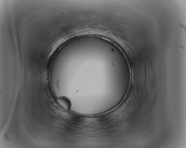 X0000096671501200802191318