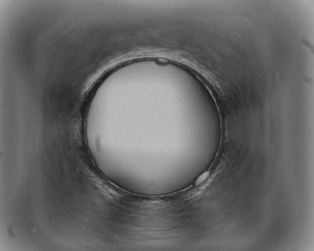 X0000096671502200802191318