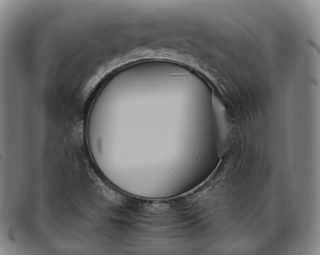 X0000096671503200802191318