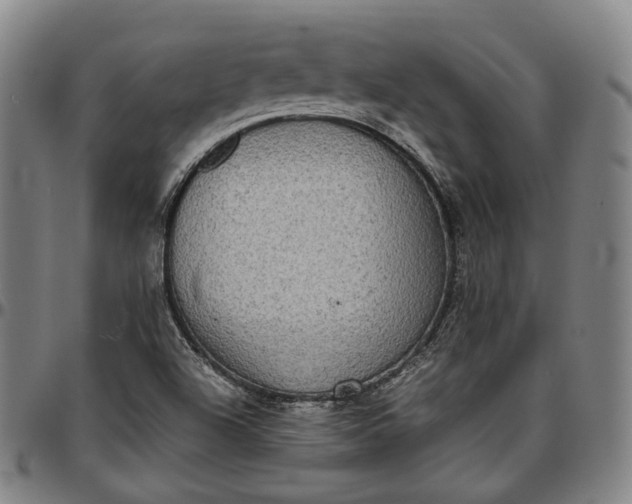 X0000096671504200802191318