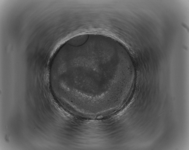 X0000096671506200802191318