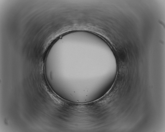 X0000096671507200802191318