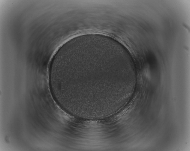 X0000096671508200802191318