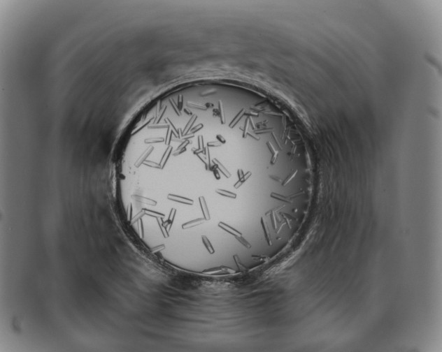 X0000096671509200802191318