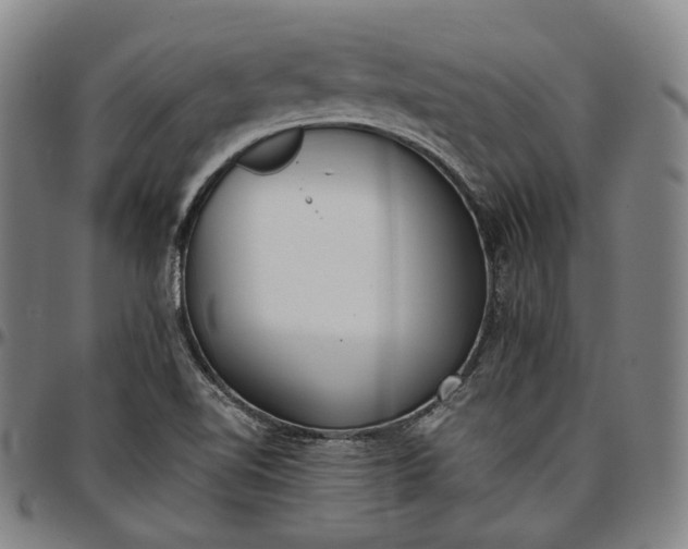X0000096671510200802191318
