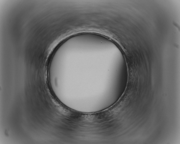 X0000096671511200802191318