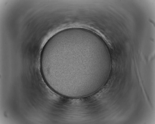 X0000096671512200802191318