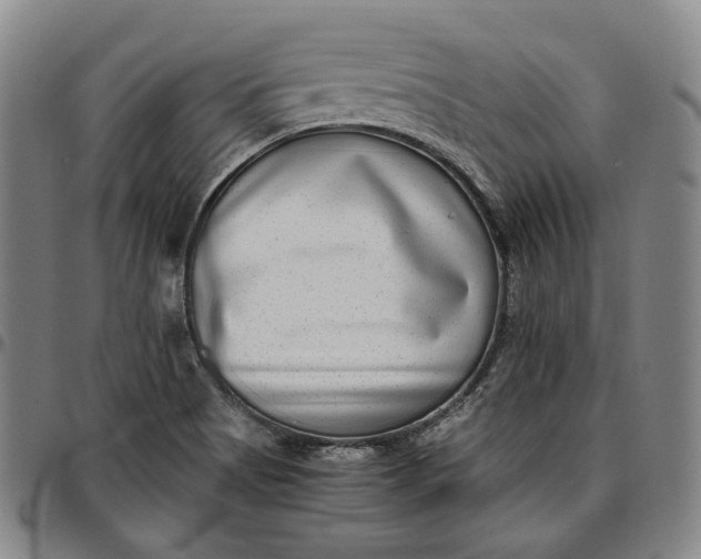 X0000096671513200802191318