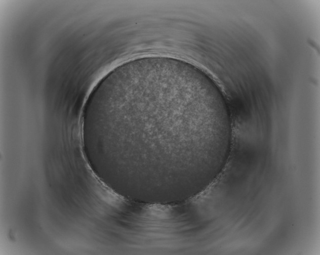 X0000096671514200802191318