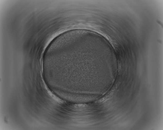 X0000096671515200802191318