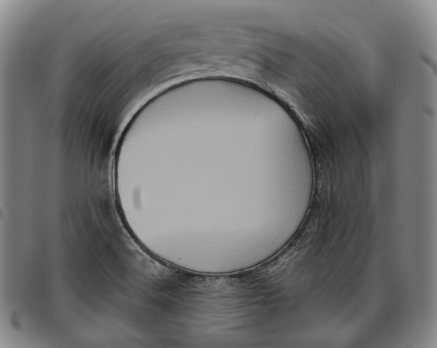 X0000096671516200802191318