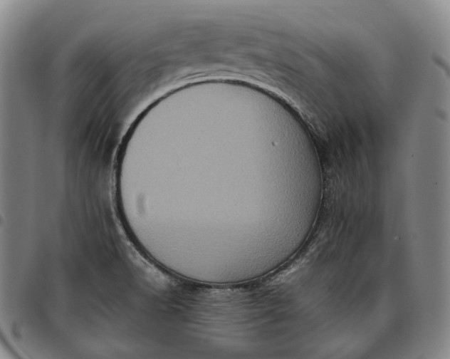 X0000096671518200802191318