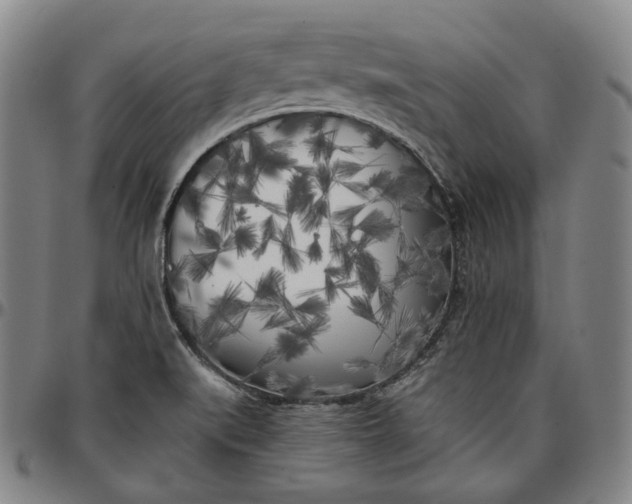 X0000096671519200802191318