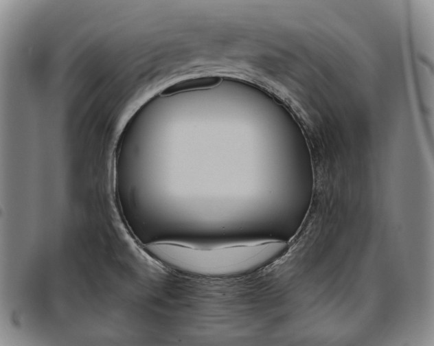 X0000096671520200802191318