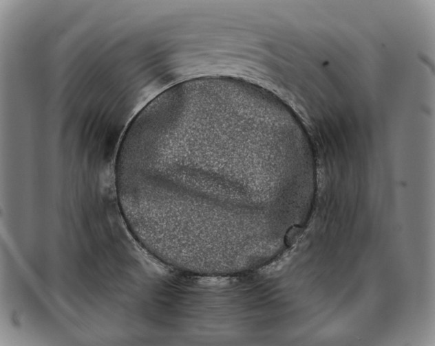 X0000096671521200802191318
