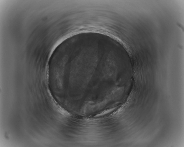 X0000096671522200802191318