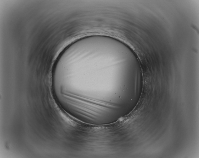X0000096671523200802191318