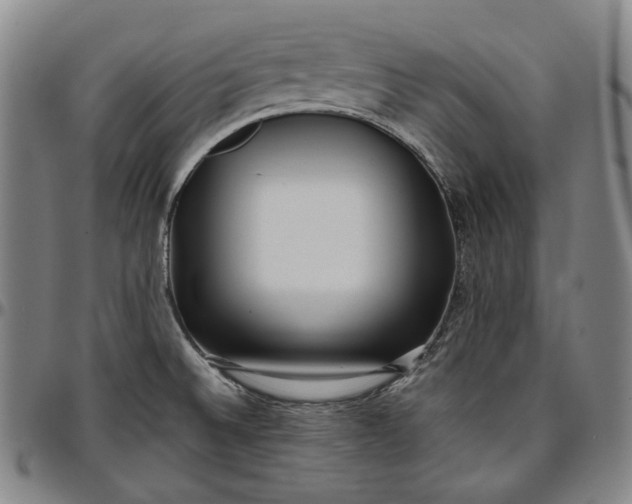 X0000096671524200802191318