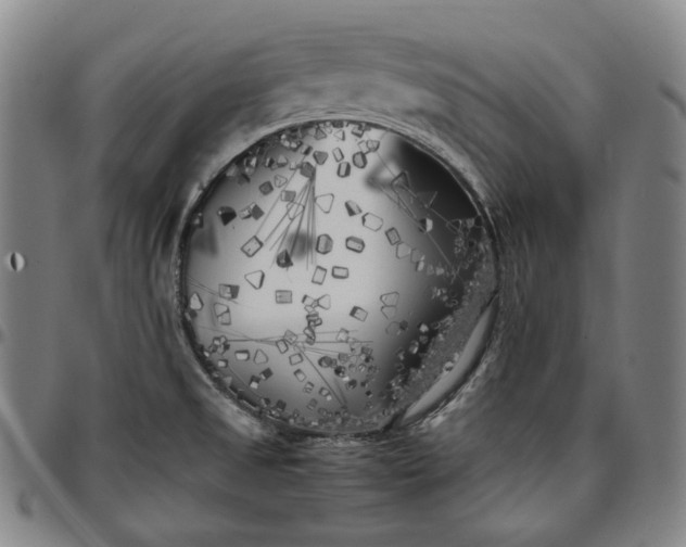 X0000096671525200802191318