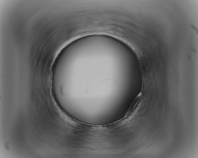 X0000096671526200802191318