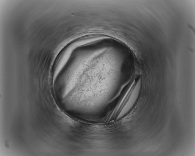 X0000096671527200802191318