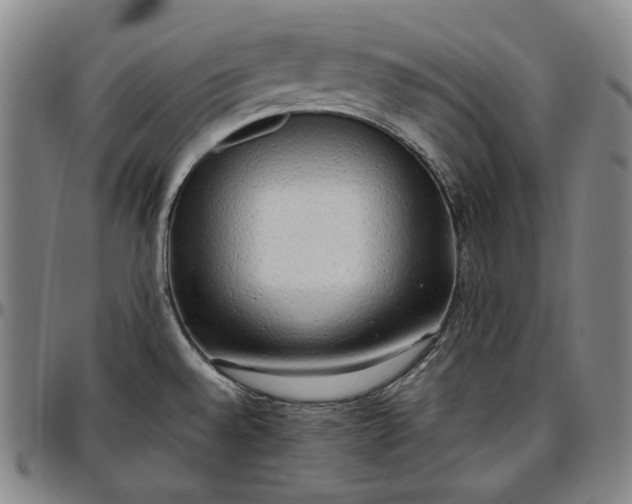 X0000096671528200802191318
