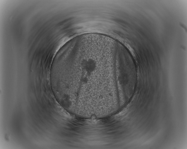 X0000096671529200802191318