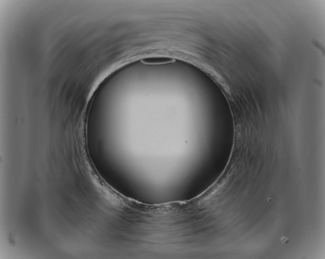 X0000096671530200802191318