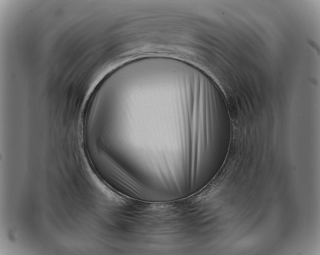 X0000096671531200802191318