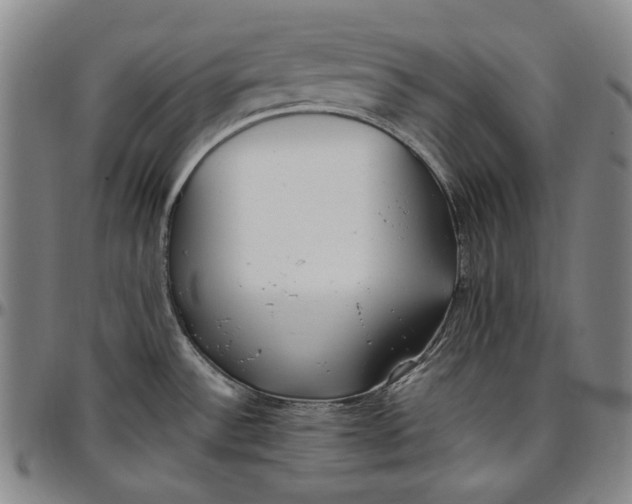 X0000096671532200802191318