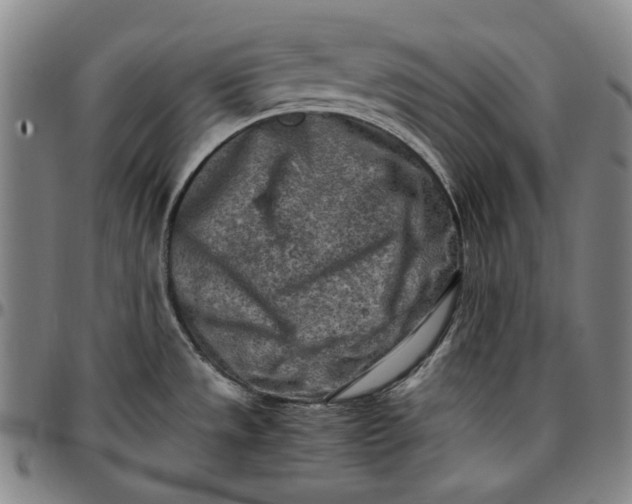 X0000096671533200802191318