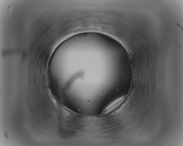 X0000096671534200802191318