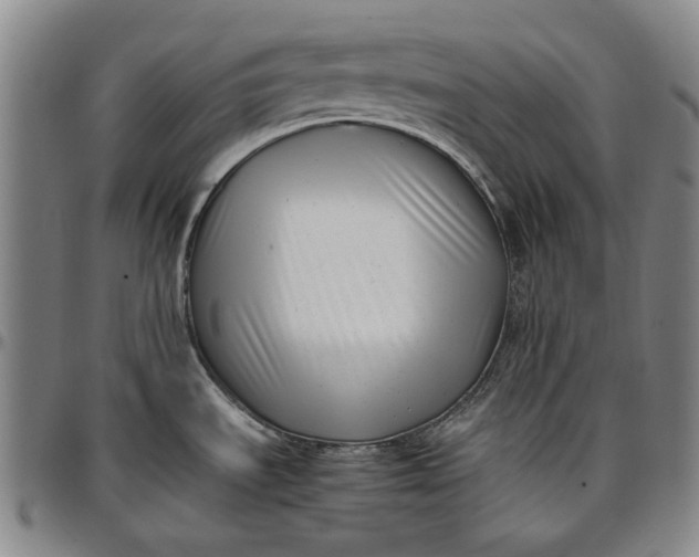 X0000096671535200802191318