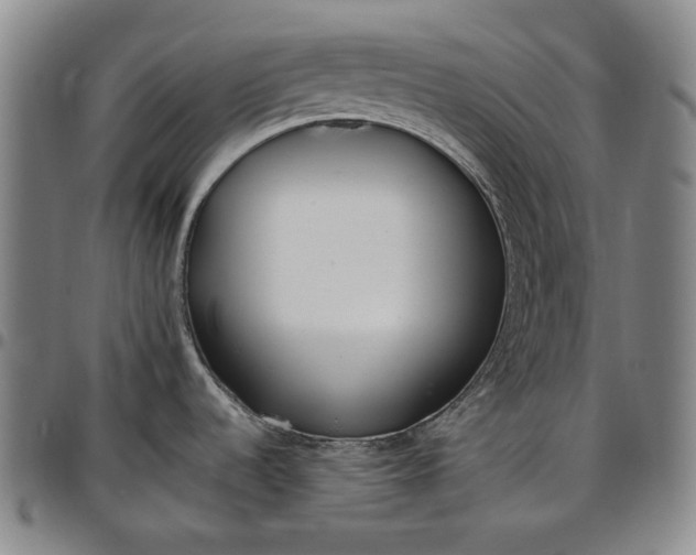 X0000096671536200802191318