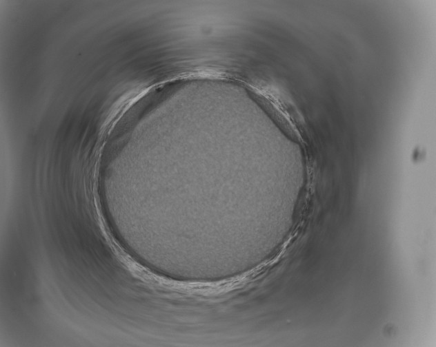 X0000096670001200802261503