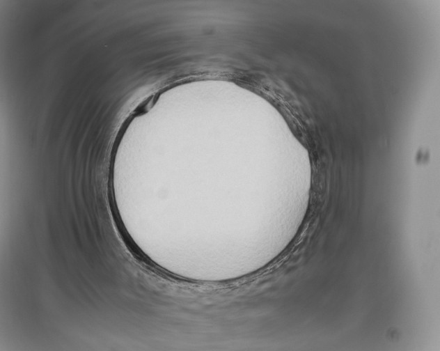X0000096670003200802261503