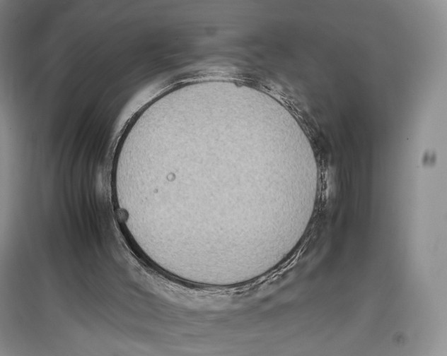 X0000096670004200802261503