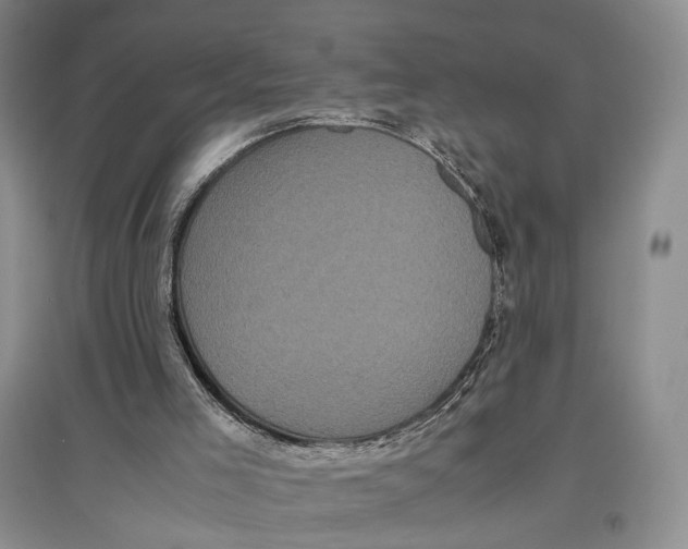X0000096670005200802261503