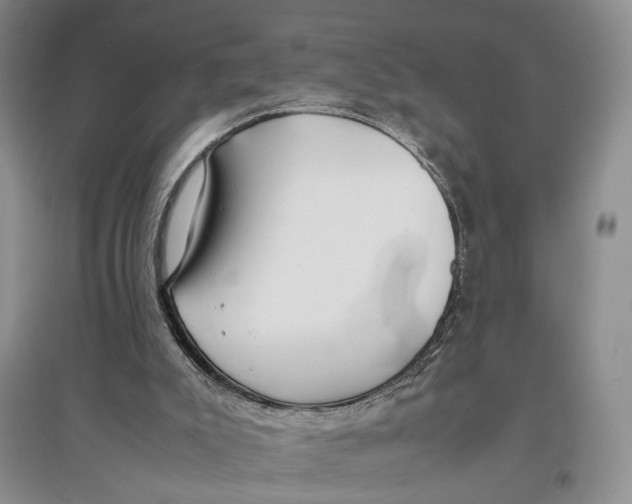 X0000096670007200802261503