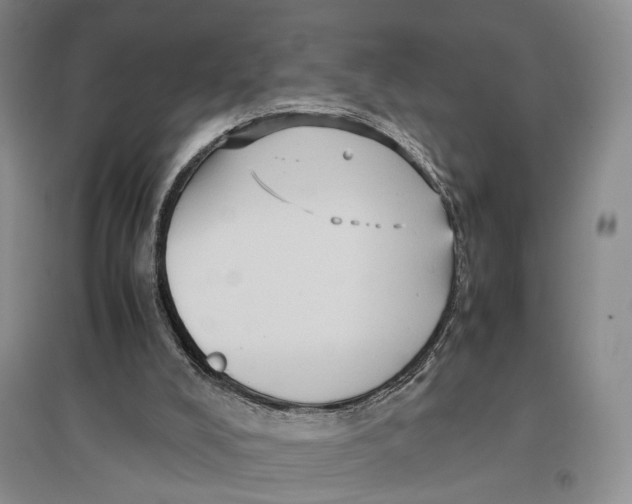X0000096670008200802261503