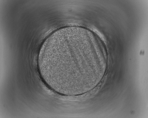 X0000096670009200802261503