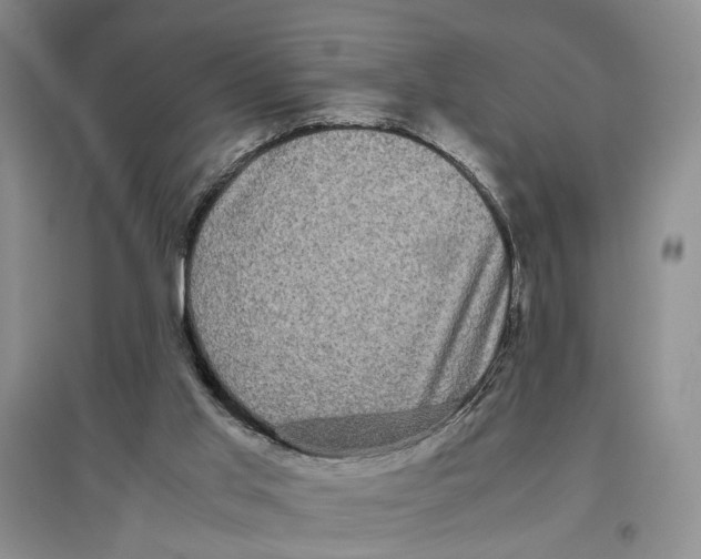 X0000096670013200802261503