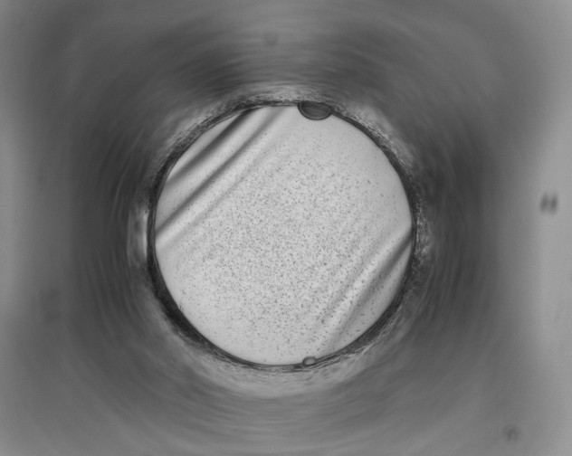 X0000096670014200802261503