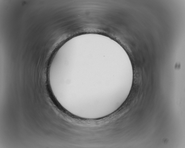 X0000096670015200802261503