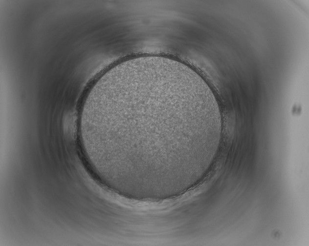 X0000096670016200802261503