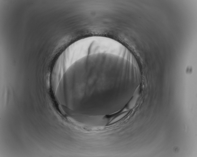 X0000096670019200802261503