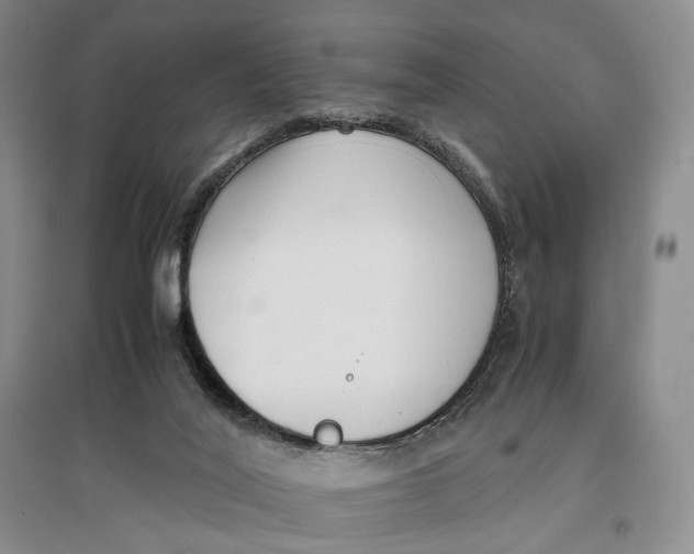 X0000096670020200802261503